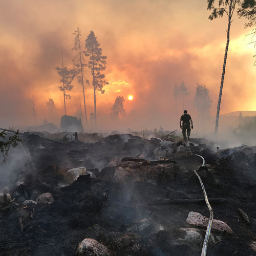 beijertech firehose in forestfire